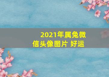 2021年属兔微信头像图片 好运